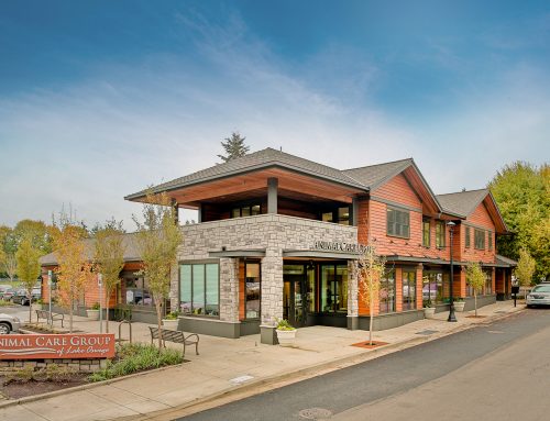 Parkway Veterinary Hospital